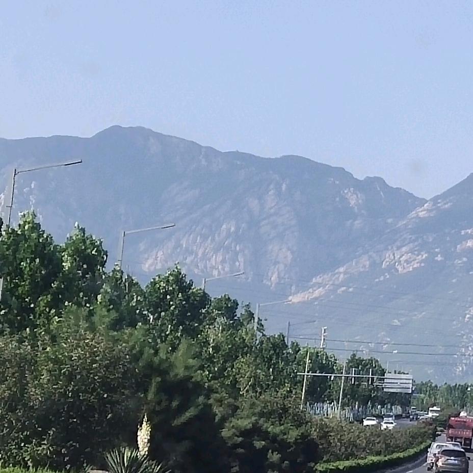 张市大庄瑞园特味庄