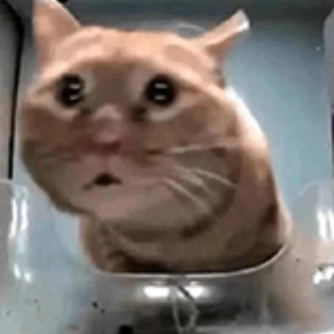 只不过是一颗小草