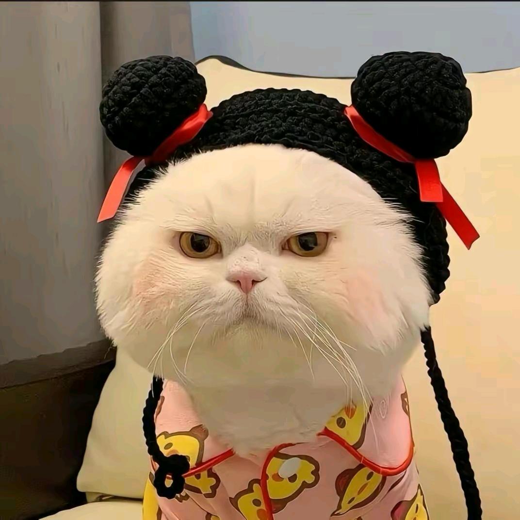 捕捉一个有趣的灵魂