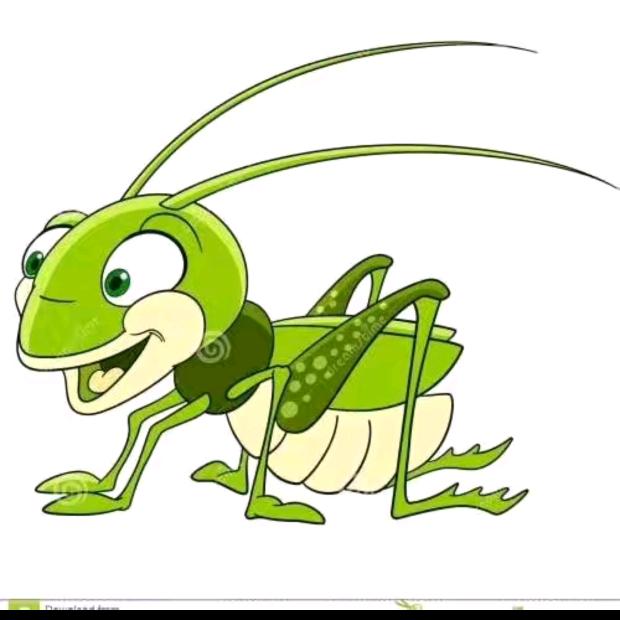 禄劝大山生态蚂蚱养殖基地