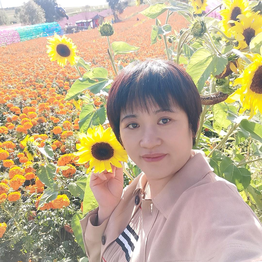 杨姐