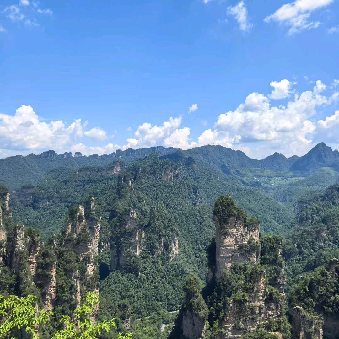 随缘