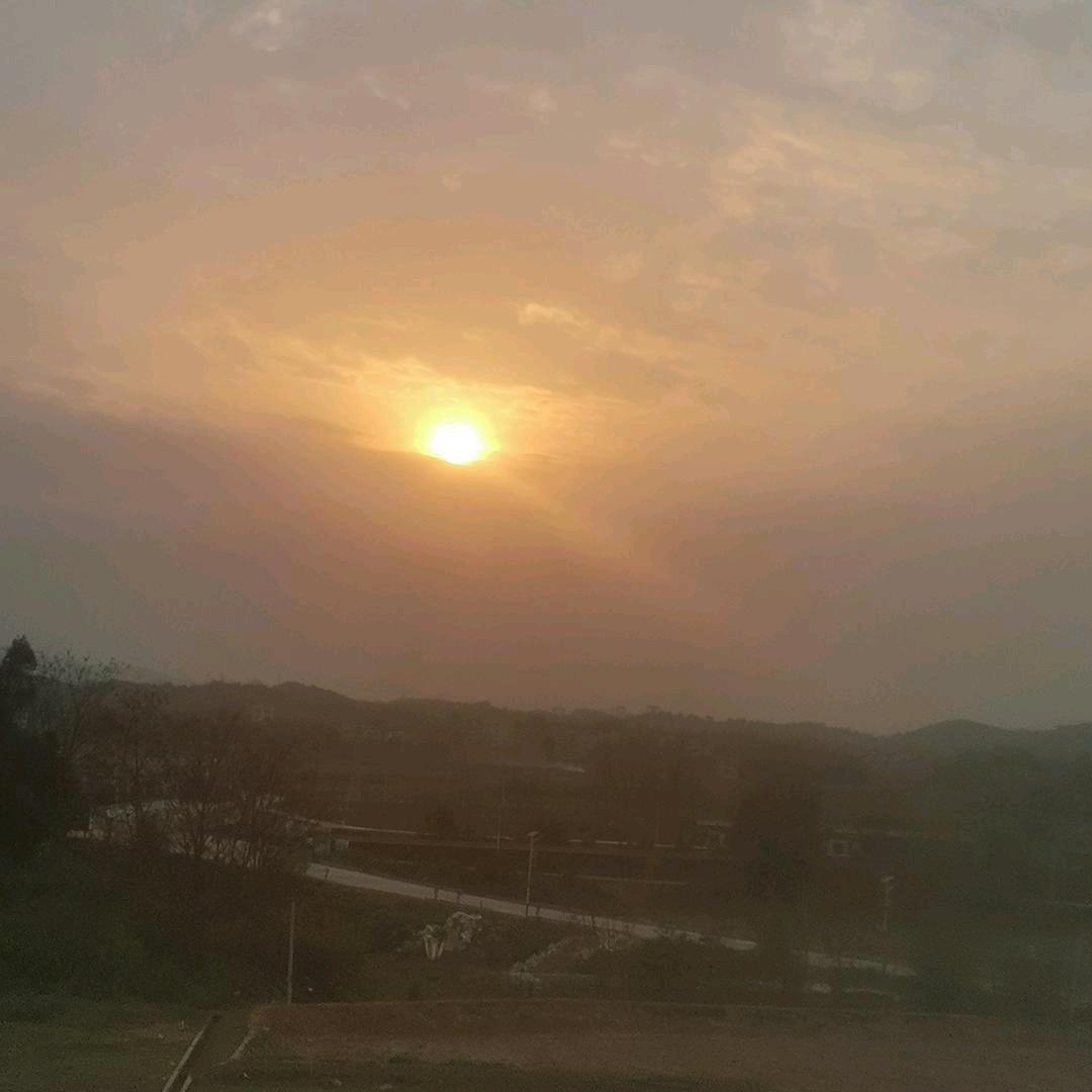 海欣