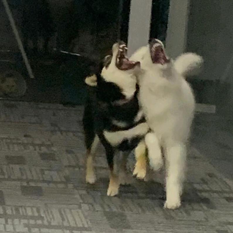 勤能补卓