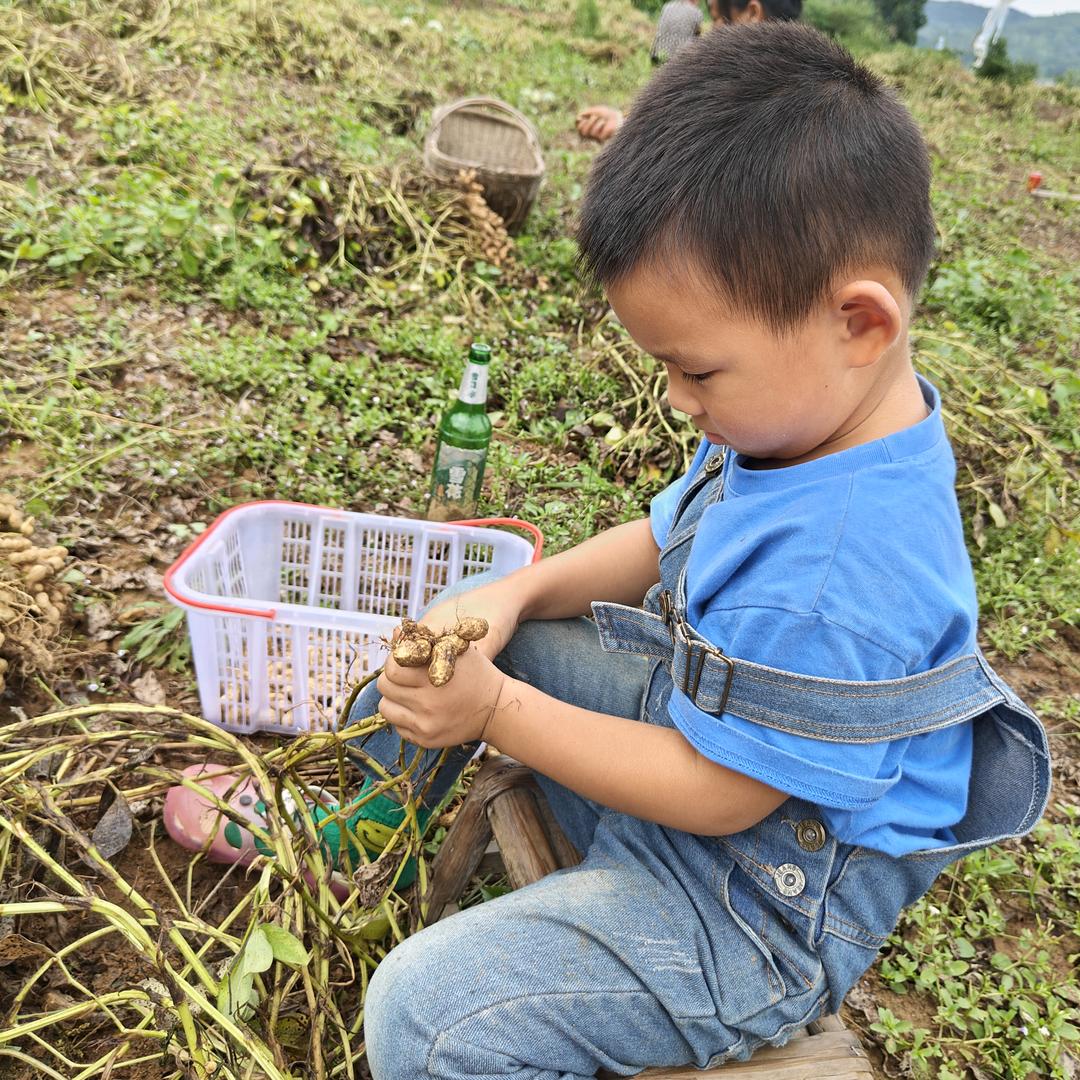 小静静
