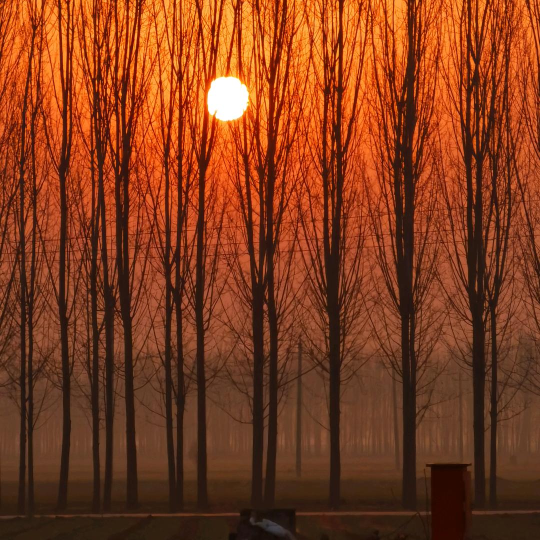 有点小幸福