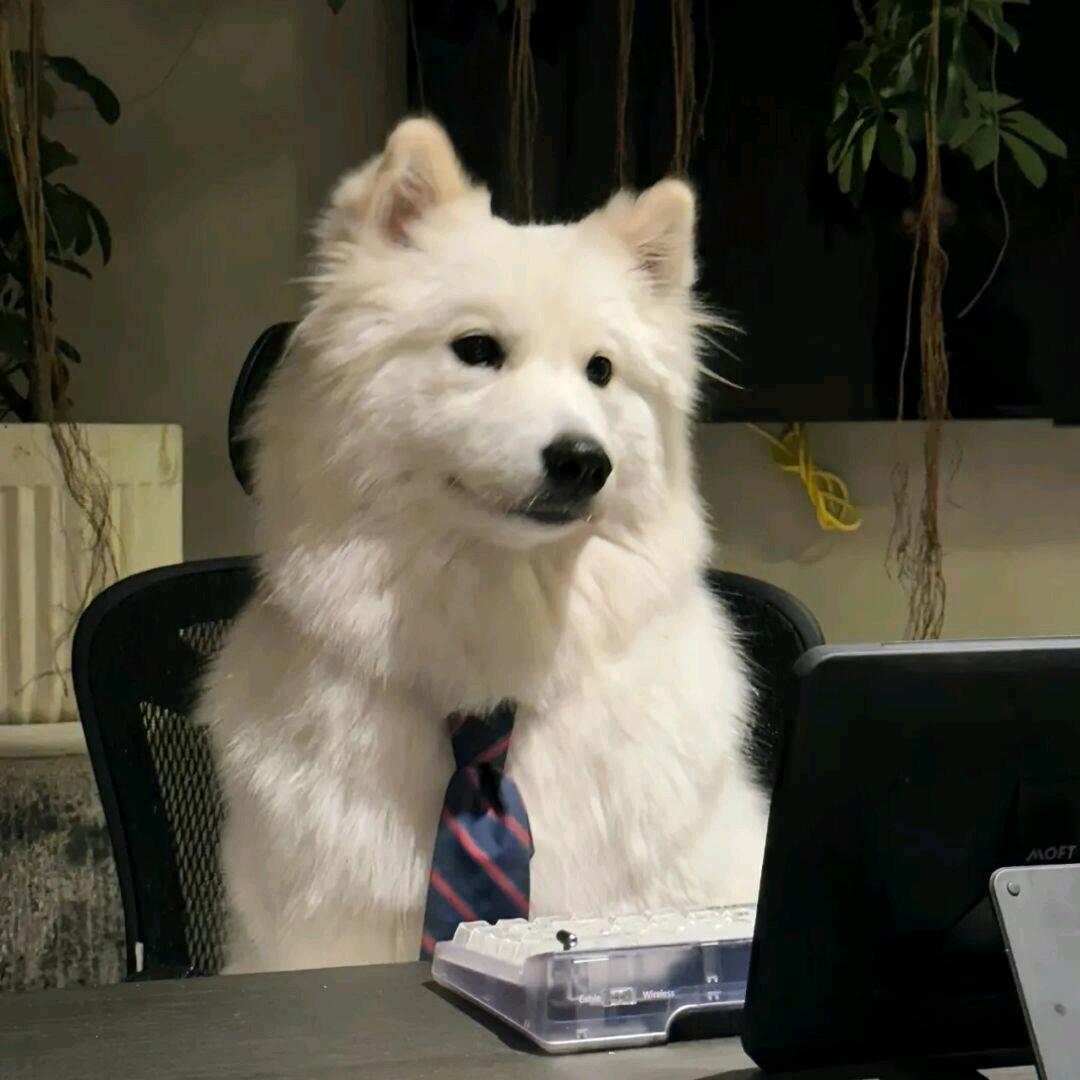 吖´◡`