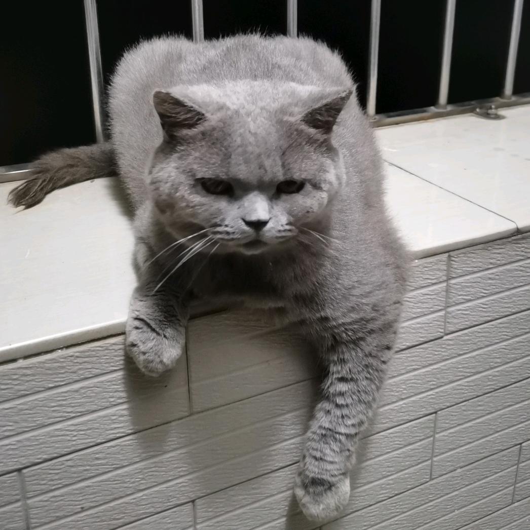 桃乃