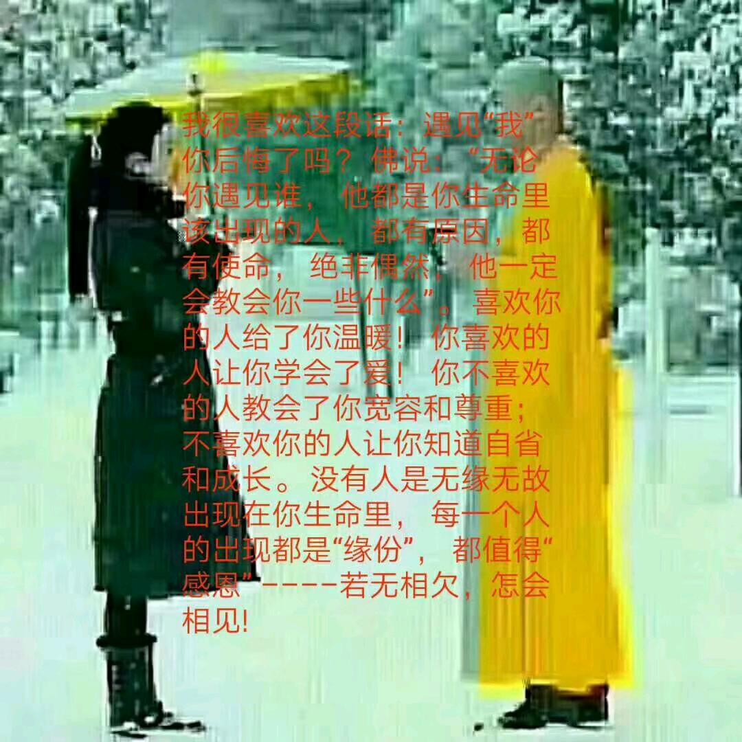 什么都是浮云