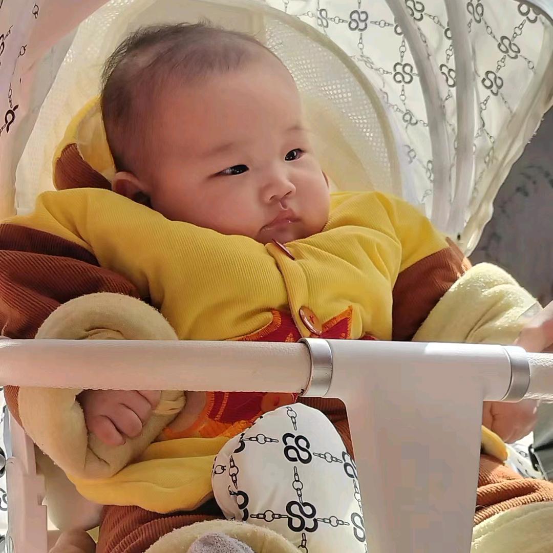 长葛窗帘批发～小高