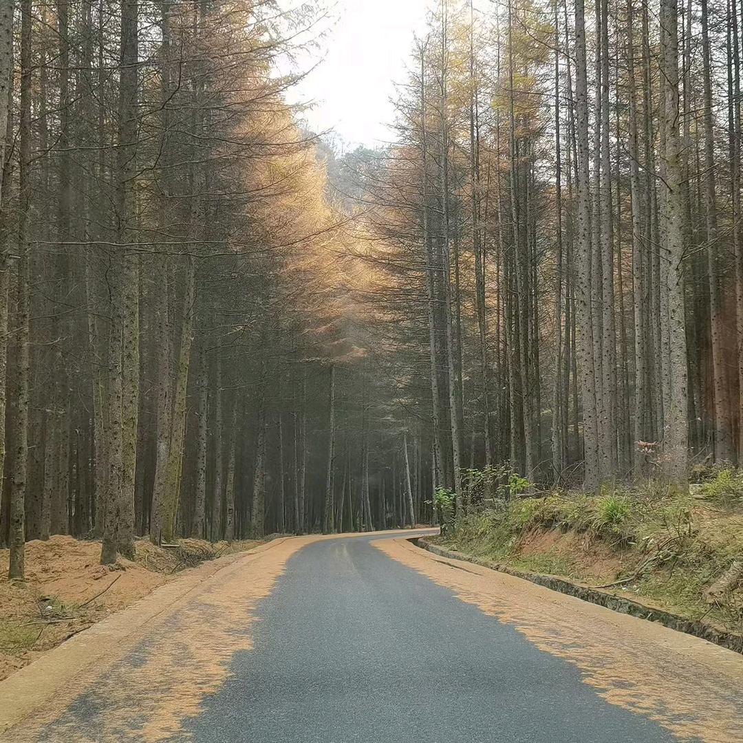 敏