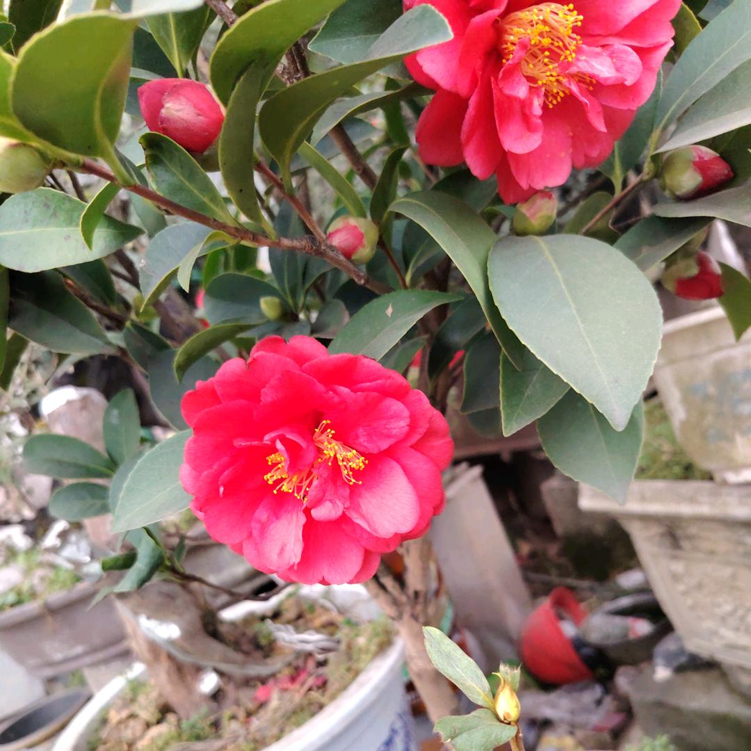 不爱我请删了我