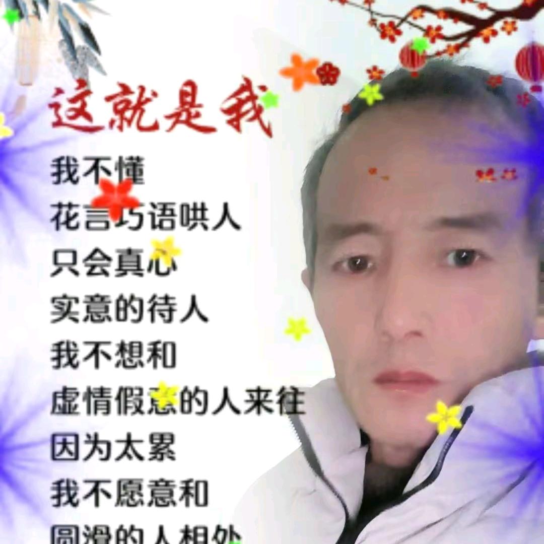 〈陽★光〉