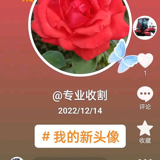 专业收割，油菜，小麦，水稻