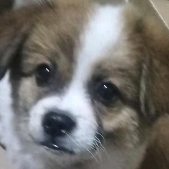 此号停用㏄