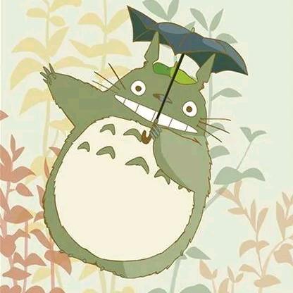 一只叫悟空的猫