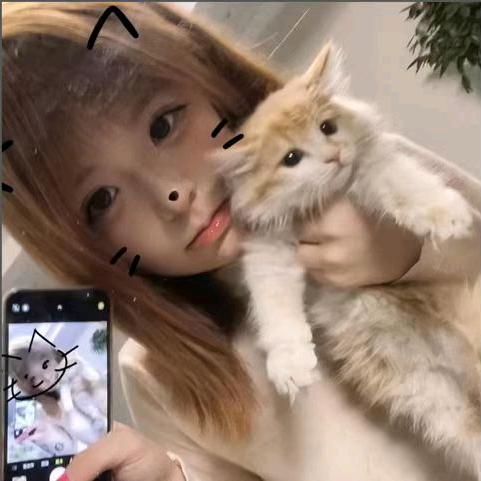 只饮烈酒不谈过往🤔