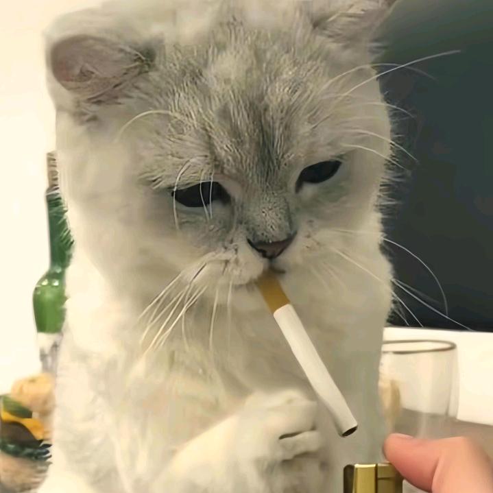 暮晓长天峰霜晚