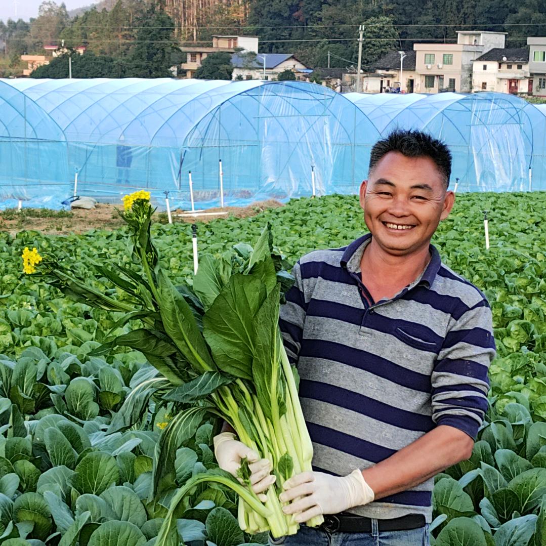 锦哥农产品种植基地