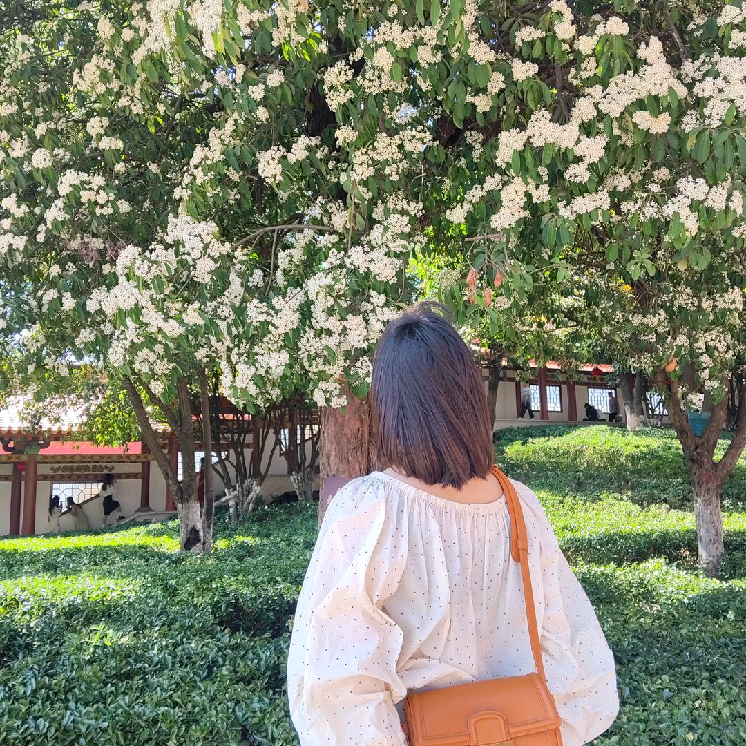 AA王美丽柴火炖鸡