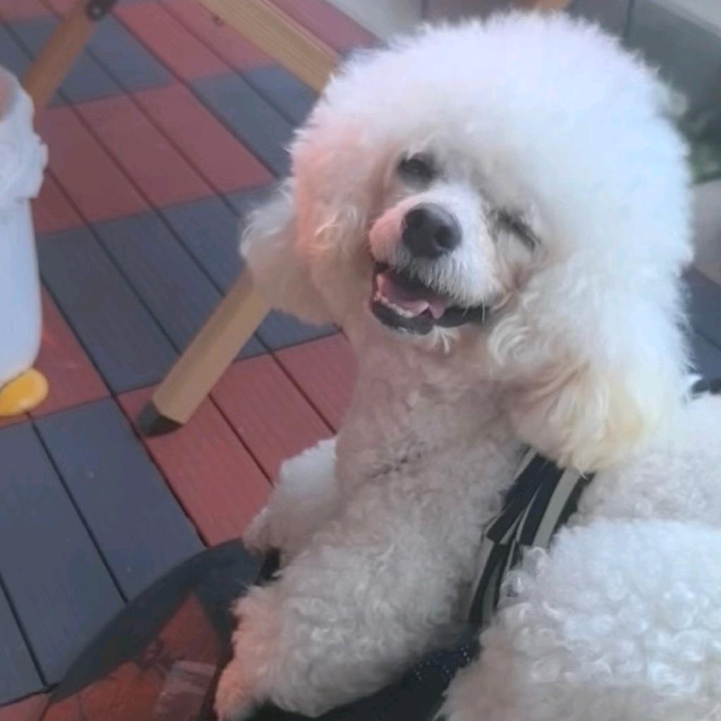 多热烈的白羊♈