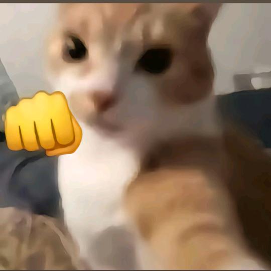 鼠鼠（暗区突围）