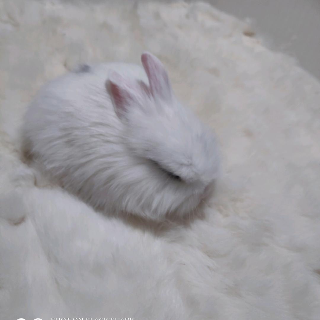 伊伊大宝贝❤️