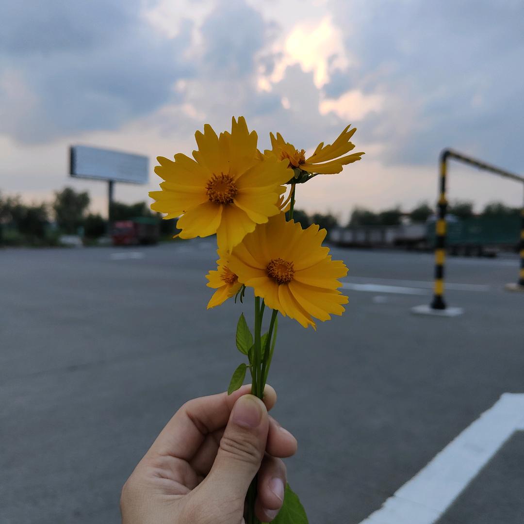 🥀