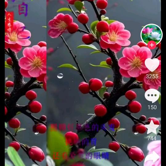 一顺其自然