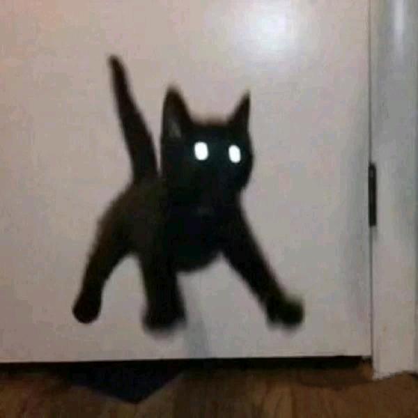 6603