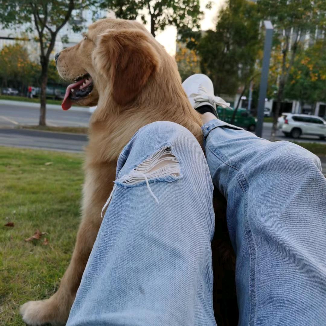 茹(❁´◡`❁)亿