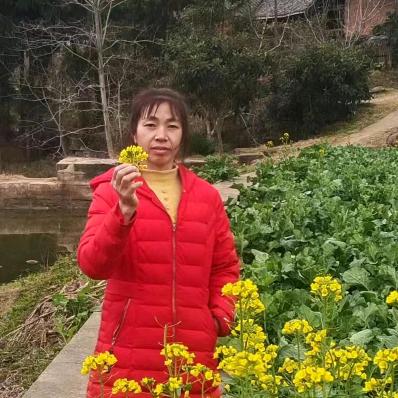 张妹子