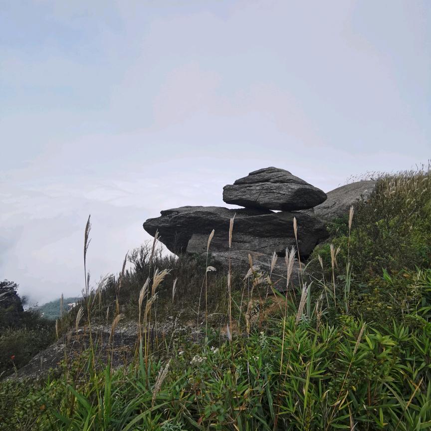 白沙小石头