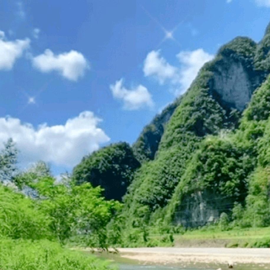 自由飞翔