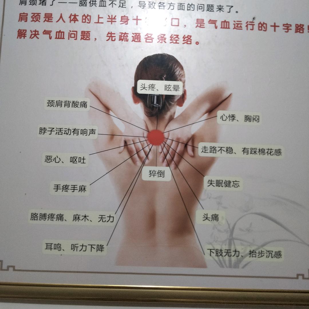 高山一棵松