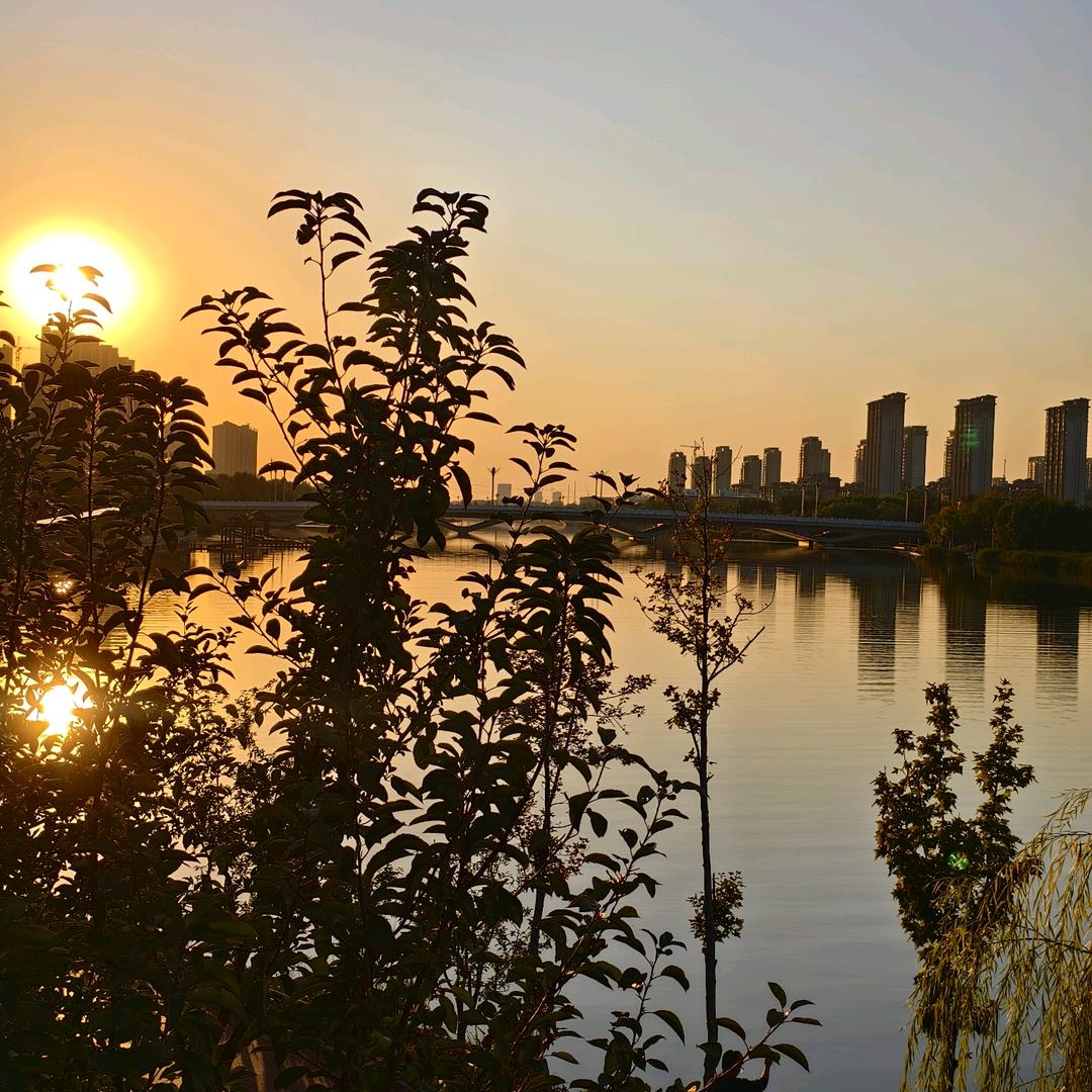 🏃马哥广场舞👇橱窗