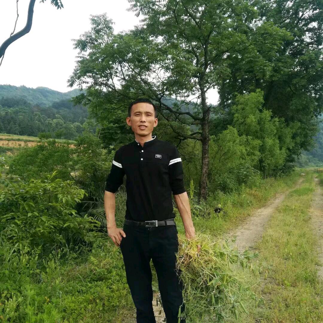 轮回千年一场寐