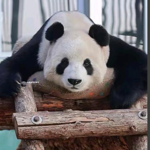 不可思议