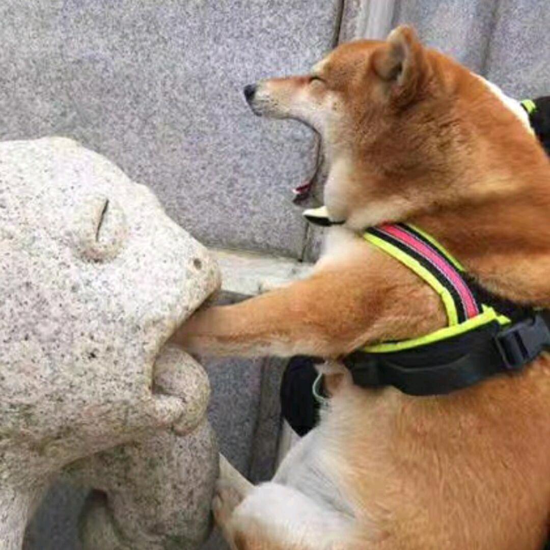 12138