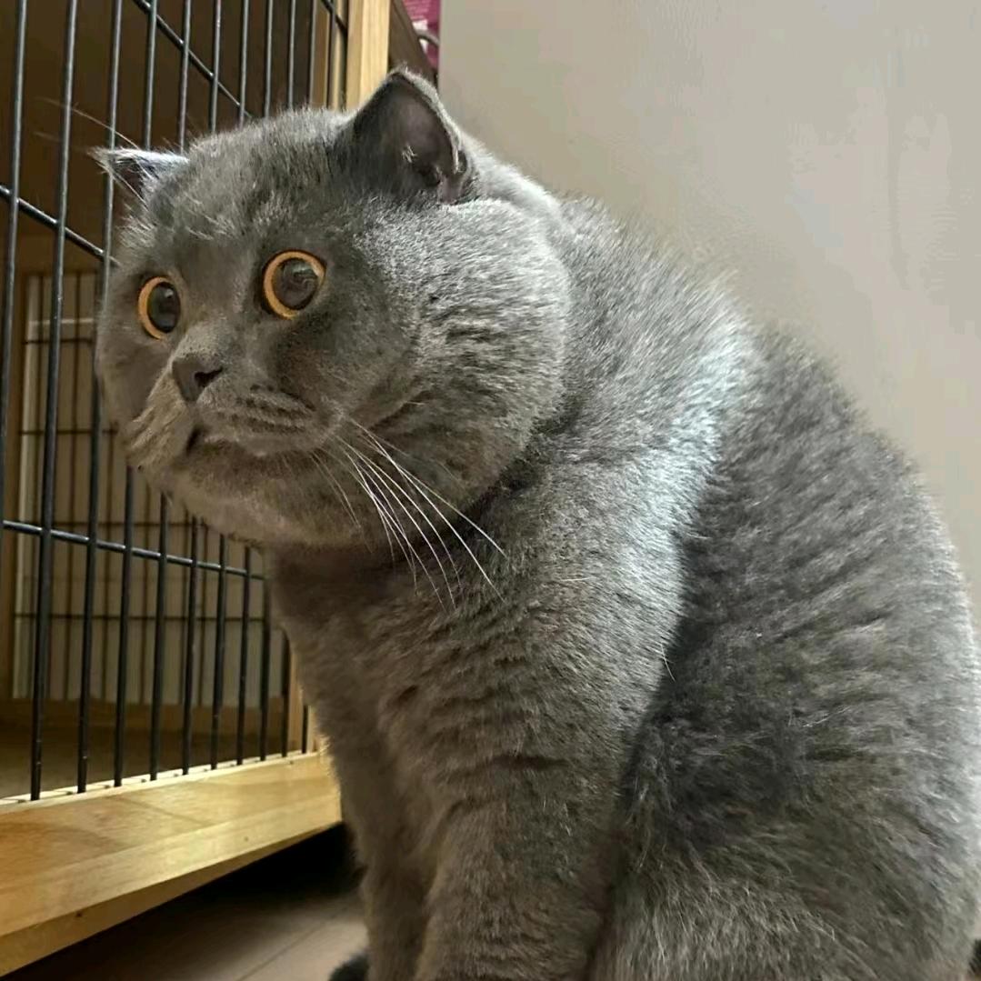 大彻大悟