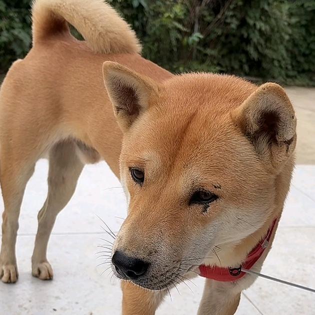 🍃᭄沉默້💔不语ꦿྀ