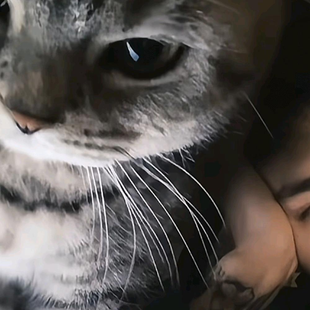 创造