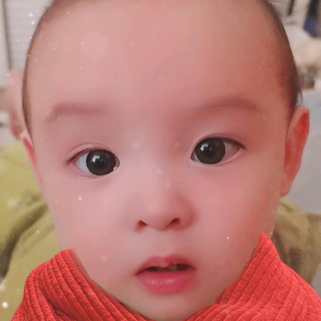 兔🐰🐰🐰🐰🐰🐰