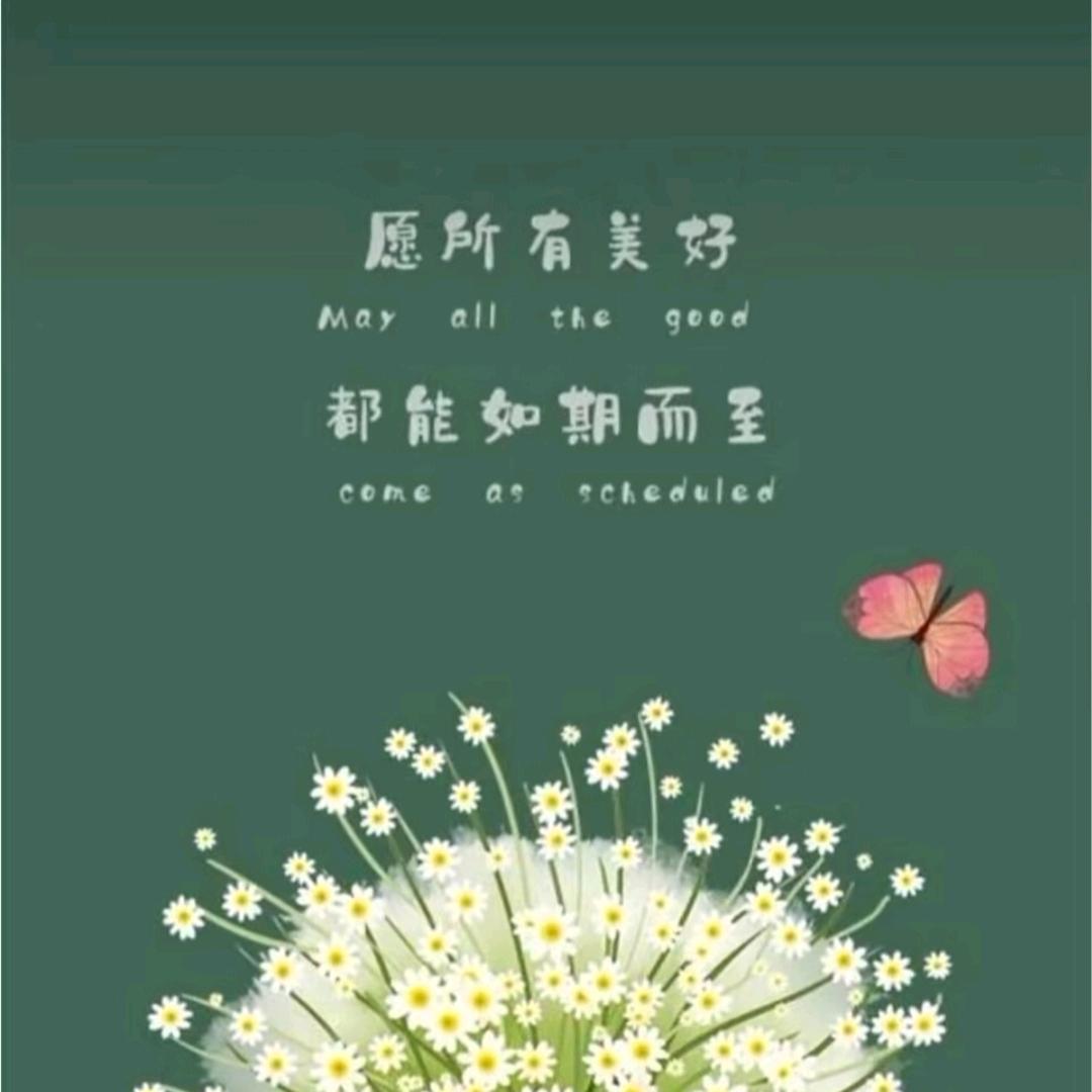 手机用户75609700274