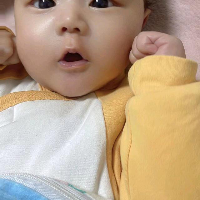 四季常青薛