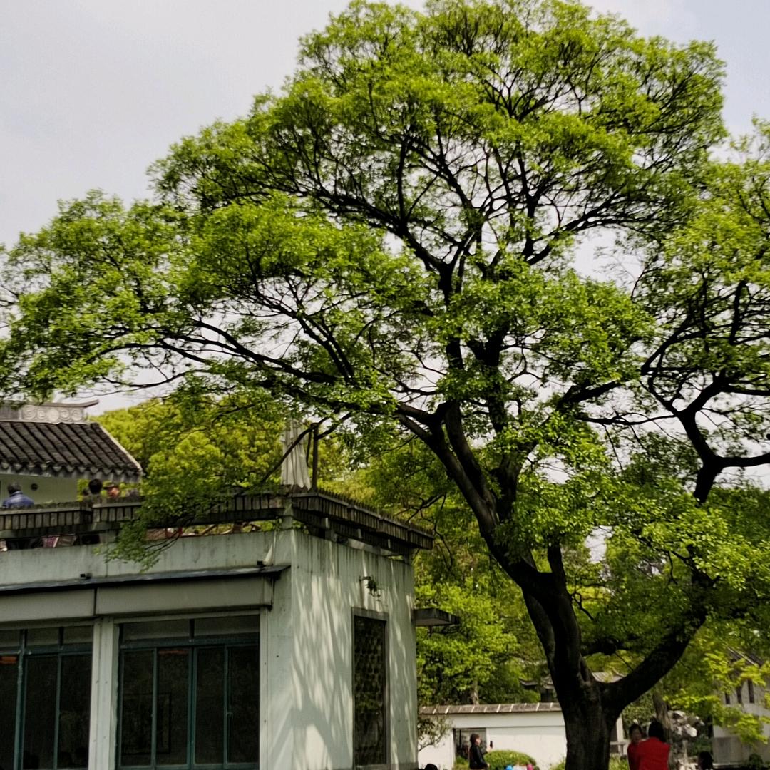 永恒记忆