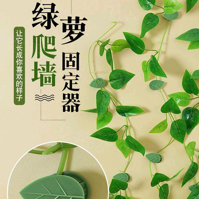 音浪小王子