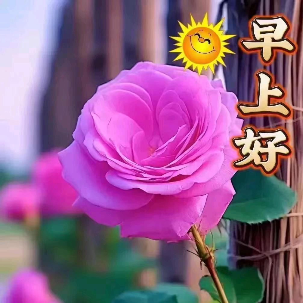 欢姐💫💫☀️☀️🌤🌤🌟🌟🔥