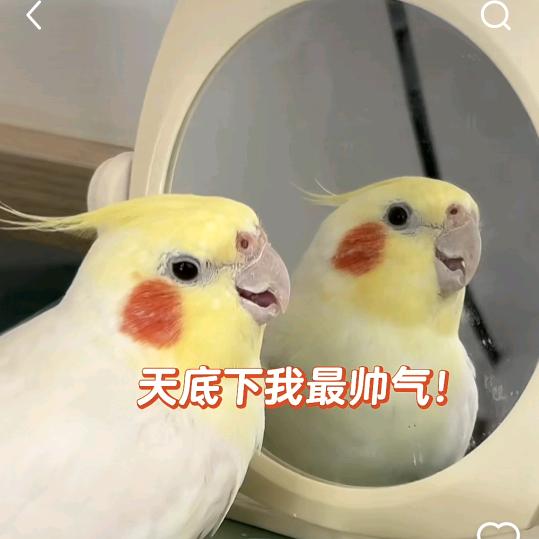 big邦(♡˙︶˙♡)