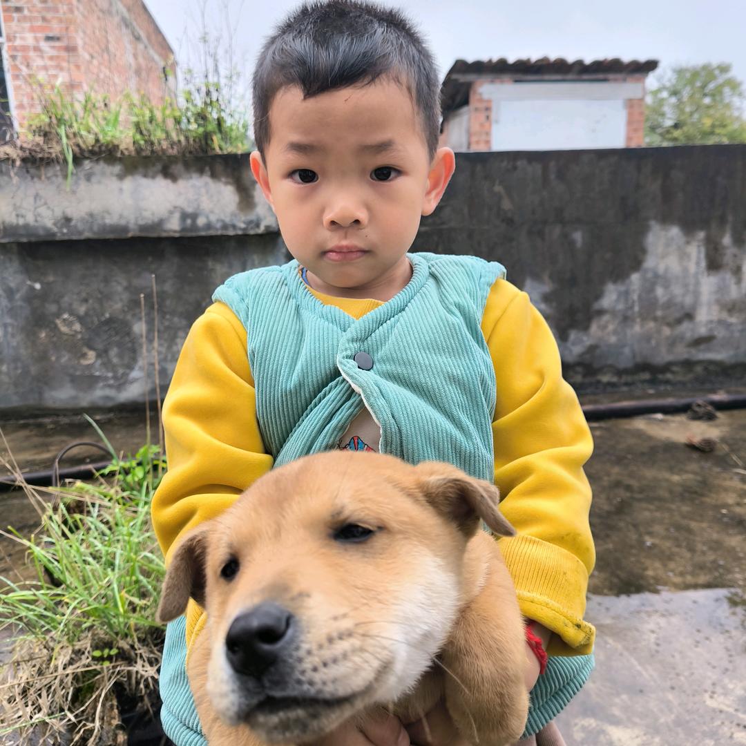 广西隆安小吴振哥